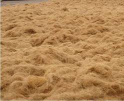 Fibres de coco écologiques les plus vendues en Inde, résistantes et durables pour la fabrication de cordes, matelas, rembourrage, exportateur GeewinExim - Product Image 4