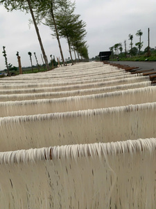 บะหมี่ข้าวแห้งสำเร็จรูป ฮาลาล มาตรฐานเวียดนาม บรรจุภัณฑ์สำหรับส่งออก ขนาด 10 กก. ยี่ห้อ IIGLOBAL - Product Image 3