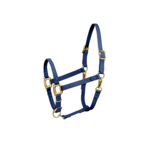 Durabilité durable, cuir de haute qualité, bride d'équitation personnalisable, conçue pour une utilisation fiable, ajustement confortable, utilisation quotidienne - Product Image 1