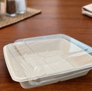 Conteneur jetable de 17 oz (500 ml) avec couvercle, biodégradable, en bagasse de canne à sucre, non toxique, certifié ISO, compostable, sans BPA - Product Image 1