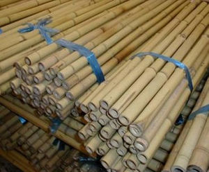 Precios competitivos - Varas de bambú natural de primera calidad - Proveedor de exportación de bambú de Vietnam - Product Image 3