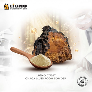 ผงเห็ดชากา LiGNO CG06 จากมาเลเซีย |   เบต้ากลูแคนมาตรฐาน ได้รับการรับรองฮาลาล/โคเชอร์ เกรดอาหารเพื่อสุขภาพ สำหรับ OEM ODM - Product Image 1