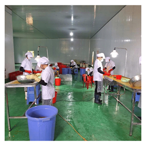 Purée de fruits de la passion surgelée IQF avec pépins, fabriquée à partir de pulpe de fruits de la passion mûrs, pour cocktails, smoothies et pâtisseries, Vietnam - Product Image 6