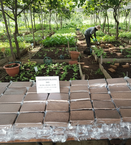 เส้นใยมะพร้าวธรรมชาติ5กก. ใยแกลบสำหรับใช้ในการเกษตรและเครื่องนอนสัตว์ - Product Image 5