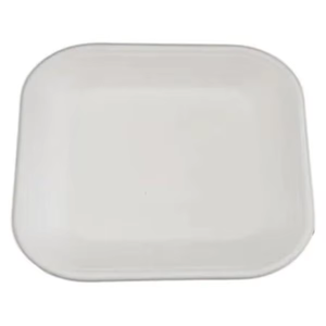 Assiette écologique biodégradable en bagasse pour upma et samosa |   Assiette de service jetable en pulpe de canne à sucre pour les fêtes et événements - Product Image 2