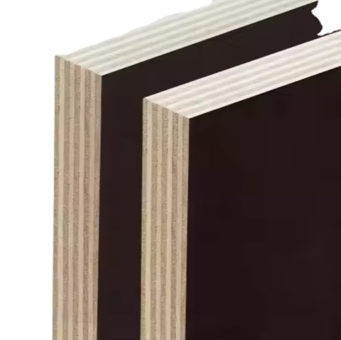 Black Film Faced Plywood Vietnamese Manufacturer Eco-Friendly Reusable 6-8 Times Heavy-Duty E1 Phenolic Board for Kitchen Villa