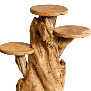ARTERRA Support de Présentation de Luxe pour Décoration Intérieure Diwali, en Racine de Teck Biologique, Artisanat Rustique Fait Main, pour Intérieur et Extérieur - Product Image 2