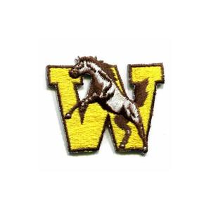 Patch brodé personnalisé à coudre ou thermocollant, badge tissé pour vêtements, chapeaux, sacs, vestes, sweats à capuche, uniformes – Vente en gros directe usine - Product Image 5