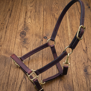 Harnais pour cheval en cuir véritable de qualité supérieure avec attaches en laiton massif et double couture durable, harnais rembourré en cuir pour cheval - Product Image 1