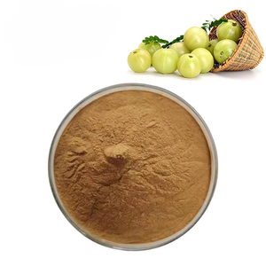 Polvo de Amla Premium para el Crecimiento del Cabello, Polvo de Amla (Grosella de India) para Consumir, Rico en Vitamina C, Calcio y Hierro para Hombres y Mujeres - Product Image 4