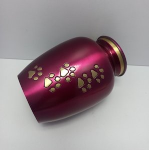Custom Color Metal Adult Burial Pet Cremation Urn with Paw Print <b>Ashes</b> <b>Keepsake</b> Customizable Design Memorial Decoration - Product Image 6