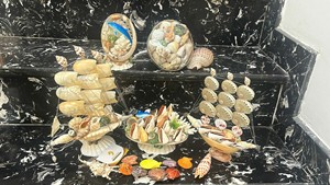 ของตกแต่งเปลือกหอย จัดเรียงเปลือกหอยขัดเงา ของประดับกลางโต๊ะ งานฝีมือเวียดนาม - Product Image 2