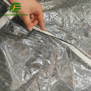 Structure résistante au vent et étanche pour les bâches de protection contre la pluie pour cerises, bâches en PE transparentes, bâche de protection contre la pluie pour cerises - Product Image 1