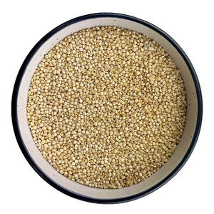 Graines de quinoa biologiques séchées en gros, qualité A - Product Image 2