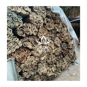 Meilleures ventes : Lattes de bambou robustes et flexibles, écologiques, pour la fabrication artisanale de cerfs-volants DIY, vente en gros - Product Image 1