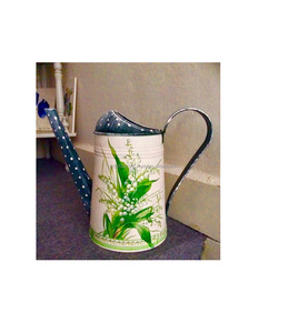 Bote de agua galvanizado con estampado de esmalte bellamente diseñado para el cuidado de plantas con estilo, decoración interior del hogar y temas rústicos - Product Image 3