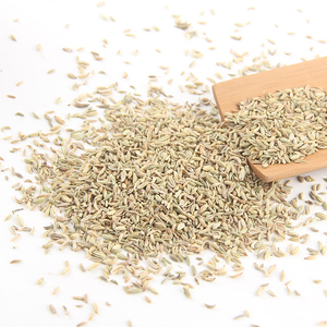 Graines de fenouil de qualité supérieure en vrac, qualité alimentaire, stock disponible, fournisseur d'exportation de confiance - Product Image 6