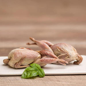 Codorniz Congelada Certificada Halal de Alta Calidad, Grado AA, con 2 Años de Vida Útil, Suministrada a Granel para Comercio Global - Product Image 1