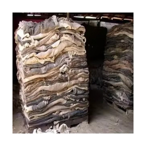 Peaux de vache salées séchées en gros pour la tannerie et les articles en cuir finis de haute qualité - Product Image 2