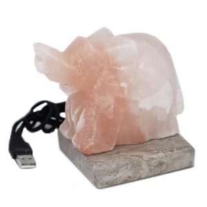 Modern USB Mini Himalayan Salt <b>Lamps</b> Best Selling <b>Portable</b> Crystal <b>Table</b> <b>Lamps</b> with OEM Size Personalized Branding Supplier - Product Image 1