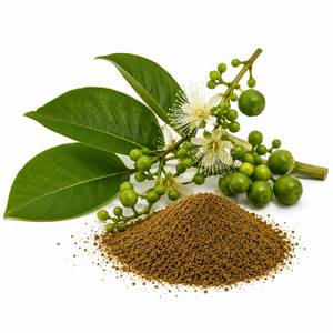 Fournisseur d'extraits botaniques de qualité supérieure, extrait de l'écorce de Crataeva Nurvala en poudre, ingrédient naturel à base de plantes pour la santé urinaire - Product Image 4