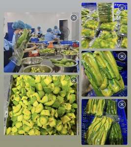 อะโวคาโดฮาสแช่แข็ง IQF แบบชิ้น จำหน่ายจำนวนมาก - Product Image 1