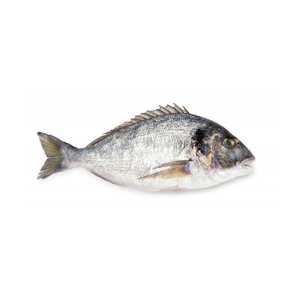 Poisson de mer rouge congelé entier pour l'industrie de la restauration - Product Image 5