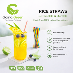Pajitas de Arroz Blancas para Beber, la Mejor Opción, Biodegradables, Ecológicas, Pajitas para Beber, Ecostraws, Caja de Cartón de Vietnam, Fábrica de Vietnam - Product Image 3