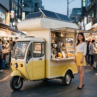 Chariot à jus de fruit de la passion de qualité industrielle avec presse et sucre pour la vente estivale au Brésil