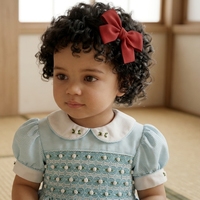 Vestido de verano para niña, estilo vintage, con bordado floral, manga acampanada, cuello Peter Pan, largo a media pantorrilla, azul y blanco, fruncido, corte en A, ODM/OEM