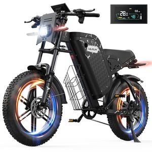 Vélo électrique tout-terrain en stock UE, pneus larges 20 pouces, batterie lithium 48V 31.5Ah, moteur moyeu arrière, frein à disque, 7 vitesses - Product Image 3