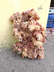 Natural Red Mordenite with Stilbite <b>Crystal</b> Specimen Rough Healing Stone <b>Cluster</b> Home Decoration High Quality Minerals SCULPTURE - Product Image 2