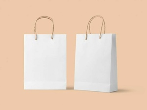Sacs en papier blancs durables pour les marques de vente au détail éco-responsables, sacs de taille personnalisée pour la vente au détail de bijoux et d'accessoires - Product Image 1