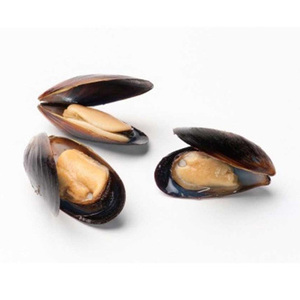 Venta caliente de mariscos: carne de mejillones cocidos y congelados con o sin concha, o en mitades de concha. - Product Image 1