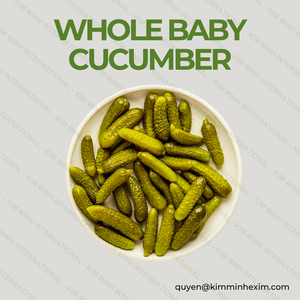BEST SELL <b>JAR</b> <b>PICKLED</b> CUCUMBER IN VIETNAM READY TO EAT 24 MONTHS SHELF LIFE - Product Image 4