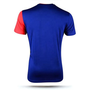 Sublimation <b>T</b> <b>Shirts</b> Custom Logo OEM Service Polyester Moisture Wicking Sportswear Wholesale Factory Direct Export - Product Image 2