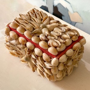 Caja de almacenamiento de viaje para joyería, reloj, pulsera, collar, conchas de mar, cajas de baratijas - Product Image 1