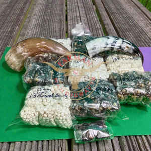 Estuche para Agujas de Hueso de Búfalo Blanco, Hecho a Mano, Ecológico, Moderno, de Forma Natural, Acabado de Alta Calidad, a Precio Económico - Product Image 2