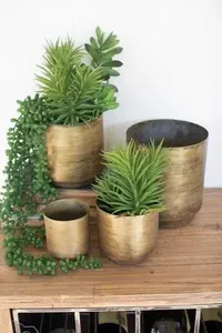 Elegante maceta metálica con superficie dorada para crear arreglos de jardín modernos en espacios de vida contemporáneos. - Product Image 5
