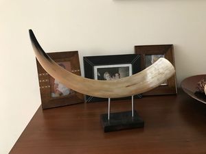 Escultura Artesanal de Cuerno - Product Image 3