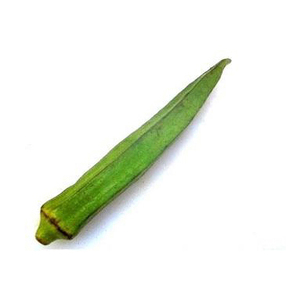 Okra Verde de Primera Calidad, Okra Fresca Tipo Lady Finger, Suministro al por Mayor para Mercados de Vegetales - Product Image 4
