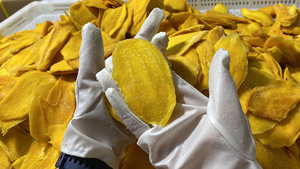 Mango Seco Suave Tradicional Vietnamita |   Snack Superalimento Rico en Fibra – Vegano - Product Image 4