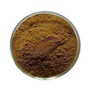 Poudre d'extrait pur de racine de Coleus Forskohlii, ingrédient botanique naturel à base de plantes pour les compléments alimentaires et les formulations de bien-être - Product Image 3