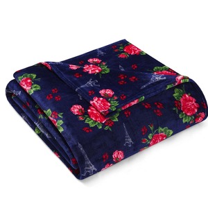 Manta de Felpa Raschel Tejida de Diseño Premium, Personalizable, Estilo Coreano Moderno para Invierno, Ligera, 100% Poliéster - Product Image 1