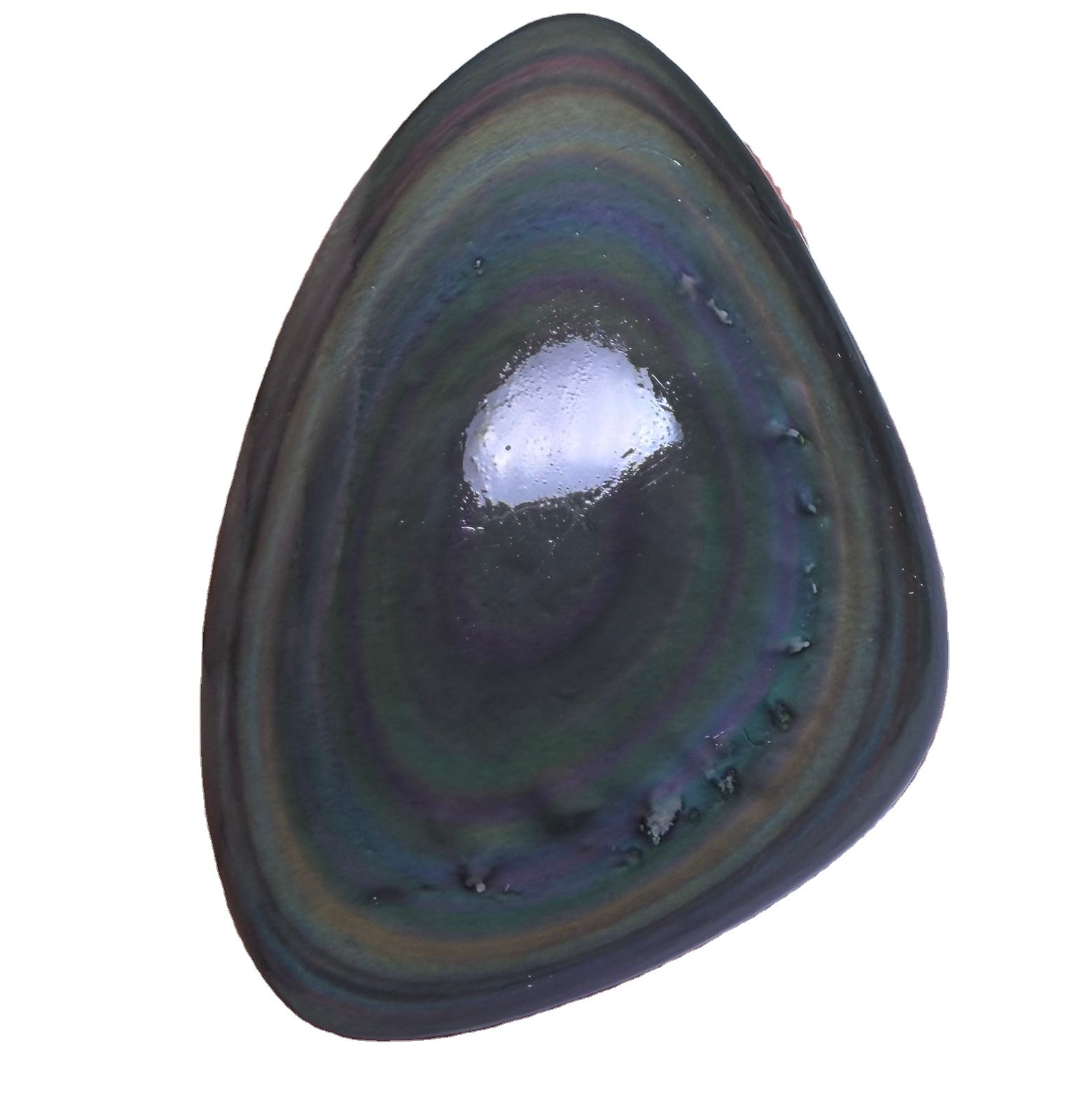 CONFORMÉMENT À L'IMAGE, COULEUR NATURELLE