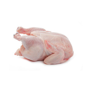 Pollo Entero Congelado Halal Premium Grado A BQF para Asar, Grillar y Hacer Caldo - Product Image 1