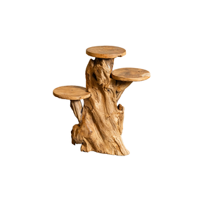 ARTERRA Premium Organic Teak Root Rustic Display Stand Handcrafted Solid Wood <b>Indoor</b>/Outdoor Home <b>Decor</b> - Product Image 3