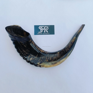 Corne de bélier polie artisanale Shofar artefact religieux naturel pour la décoration intérieure rituels de prière et cérémonies culturelles - Product Image 5