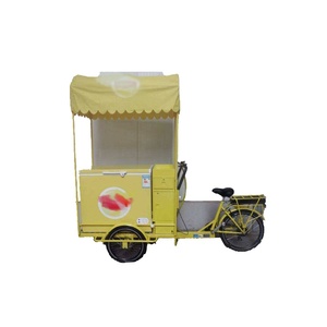 Congélateur solaire 12V à ouverture par le haut avec porte en mousse, mini-congélateur coffre pour viande, voiture et vélo - Product Image 3
