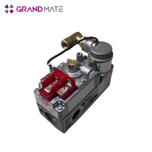 Válvula de Gas Natural de Presión Media para Fundición - Product Image 6